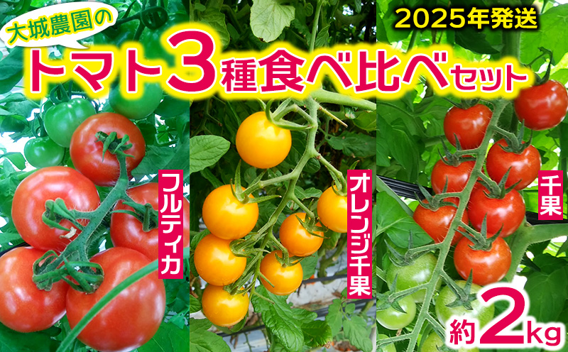 【2025年発送】～沖縄伊江島・大城農園～トマト3種食べ比べ約2kg フルティカ オレンジ千果 千果 新鮮 とまと やさい サラダ 料理 数量限定 美容 美味しい 健康 おすすめ 地元 沖縄県 国産 食品 人気 産地直送 送料無料