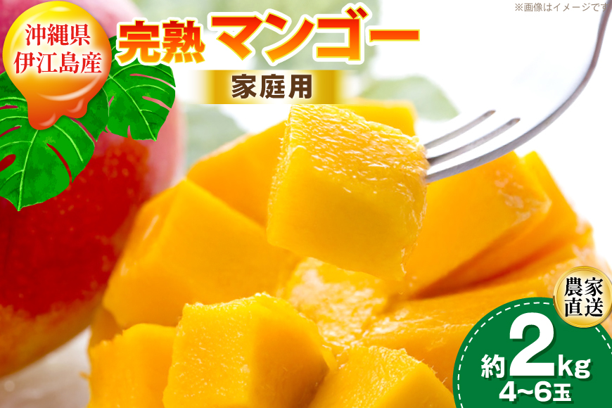 【期間限定発送】 家庭用 マンゴー (アーウィン種) 約 2kg (4〜6玉) [伊江村マンゴー部会 沖縄県 伊江村 ie47bde320011] 沖縄 フルーツ 果物 甘い 夏 濃厚 Mango 果物 果実 くだもの
