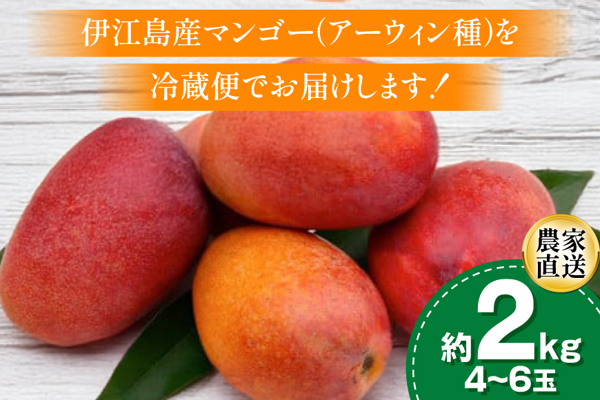 【期間限定発送】 家庭用 マンゴー (アーウィン種) 約 2kg (4〜6玉) [伊江村マンゴー部会 沖縄県 伊江村 ie47bde320011] 沖縄 フルーツ 果物 甘い 夏 濃厚 Mango 果物 果実 くだもの