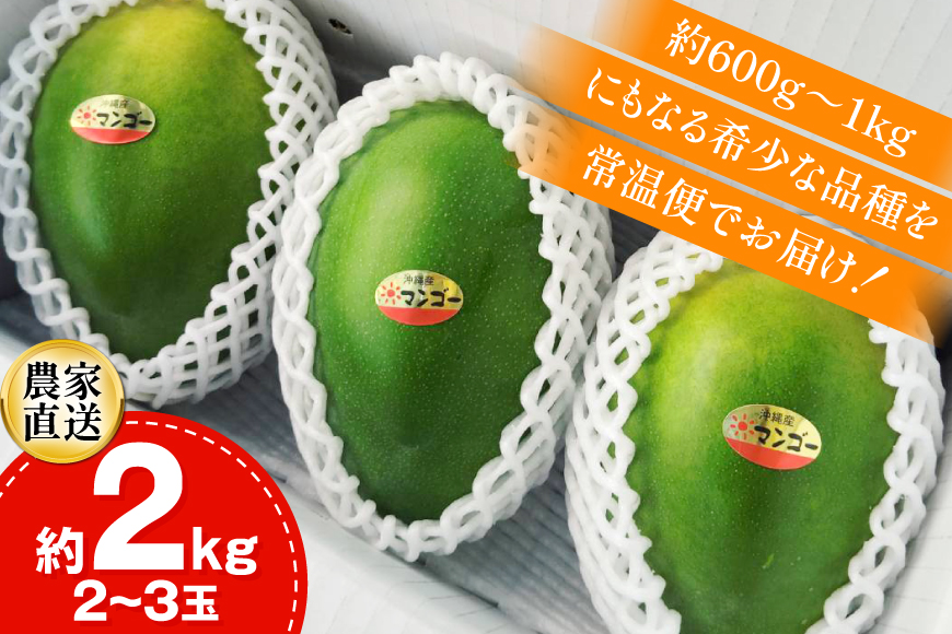 【期間限定発送】 家庭用 キーツ マンゴー 約 2kg (2〜3玉) [伊江村マンゴー部会 沖縄県 伊江村 ie47bde320000] キーツマンゴー 沖縄 フルーツ 果物 甘い 夏 濃厚 Mango 果物 果実 くだもの