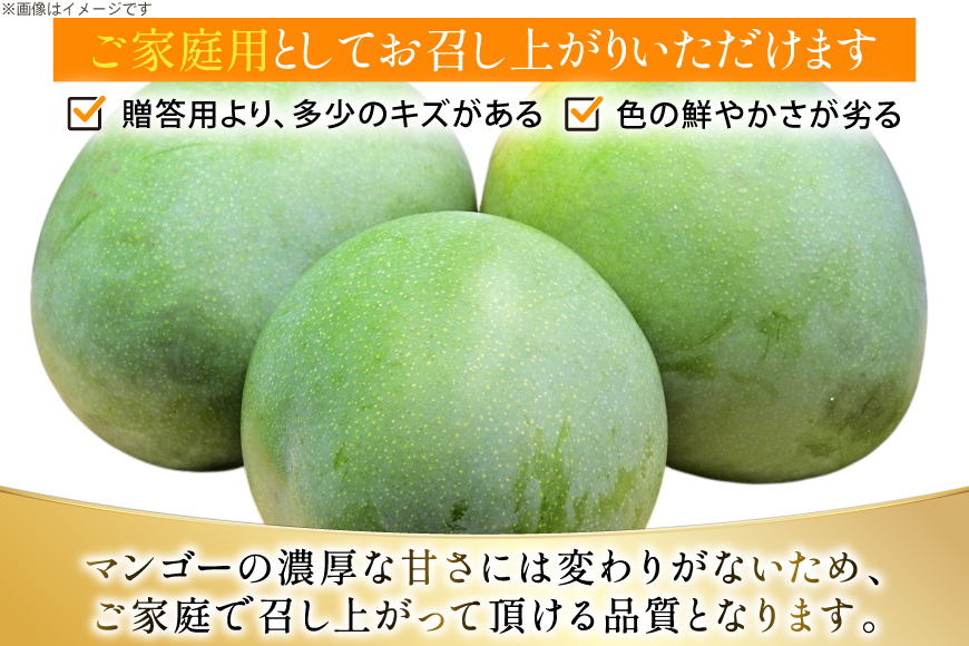 【期間限定発送】 家庭用 キーツ マンゴー 約 2kg (2〜3玉) [伊江村マンゴー部会 沖縄県 伊江村 ie47bde320000] キーツマンゴー 沖縄 フルーツ 果物 甘い 夏 濃厚 Mango 果物 果実 くだもの