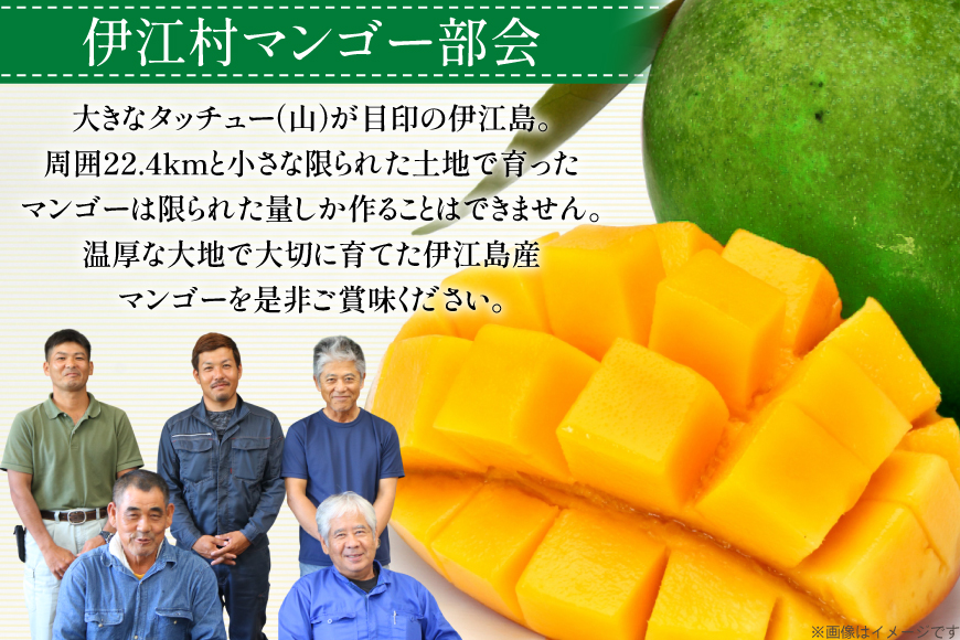 【期間限定発送】 キーツ マンゴー 秀品 約 2kg (2〜3玉) [伊江村マンゴー部会 沖縄県 伊江村 ie47bde320009] キーツマンゴー 沖縄 フルーツ 果物 甘い 夏 濃厚 Mango 果物 果実 くだもの