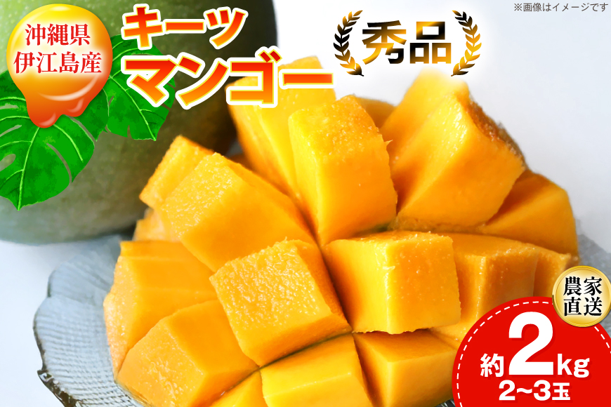 【期間限定発送】 キーツ マンゴー 秀品 約 2kg (2〜3玉) [伊江村マンゴー部会 沖縄県 伊江村 ie47bde320009] キーツマンゴー 沖縄 フルーツ 果物 甘い 夏 濃厚 Mango 果物 果実 くだもの