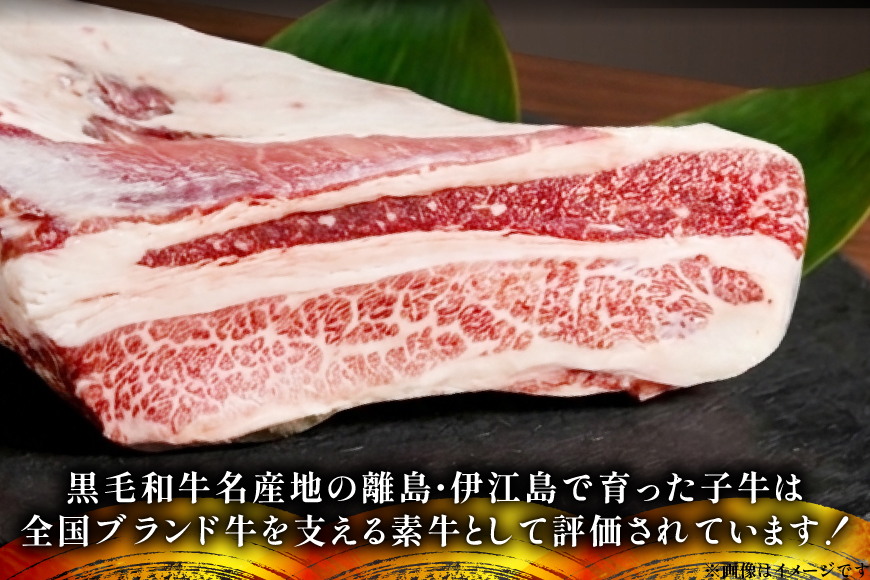 牛肉 伊江島牛 切り落とし 250g 2p 計500g [JAおきなわAコープ 沖縄県 伊江村 ie47bmw520001] 肉 切落し 和牛 黒毛和牛 小分け 冷凍 国産牛