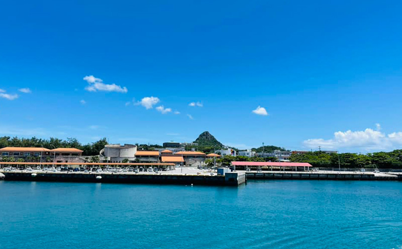 伊江島産　味付け太もずく（島らっきょう入り）（250gx10個） 海藻 栄養 健康 食材 料理 沖縄 レシピ 食物繊維 栄養 フコイダン ラッキョ 天ぷら 美味しい 国産 疲労回復 滋養強壮 人気 漬物 産地直送 送料無料