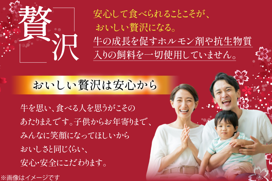 ソーセージ 緋桜肉 ビーフソーセージ2本 6パック 計12本 [イノベスタ 沖縄県 伊江村 ie47bde380005] ジューシー 香ばしい 濃厚 高品質 肉感 ひざくらにく 牛肉