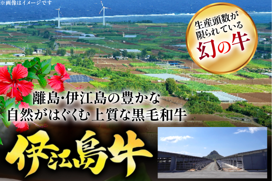 牛肉 伊江島牛 切り落とし 250g 2p 計500g [JAおきなわAコープ 沖縄県 伊江村 ie47bmw520001] 肉 切落し 和牛 黒毛和牛 小分け 冷凍 国産牛