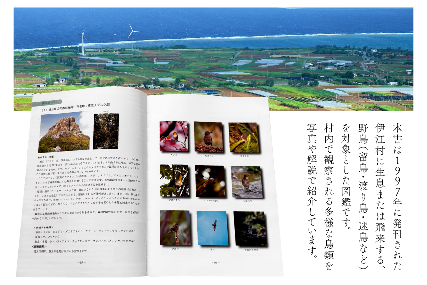 図鑑 伊江島の野鳥 1冊 [伊江村教育委員会 沖縄県 伊江村 ie47bde310000] 本 書籍 教育 野鳥図鑑 野鳥 鳥