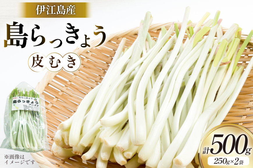 【期間限定発送】 島らっきょう 生 皮むき 250g 2袋 計 500g [ミュージアム 沖縄県 伊江村 ie47bde230012] 沖縄 おつまみ らっきょう 国産