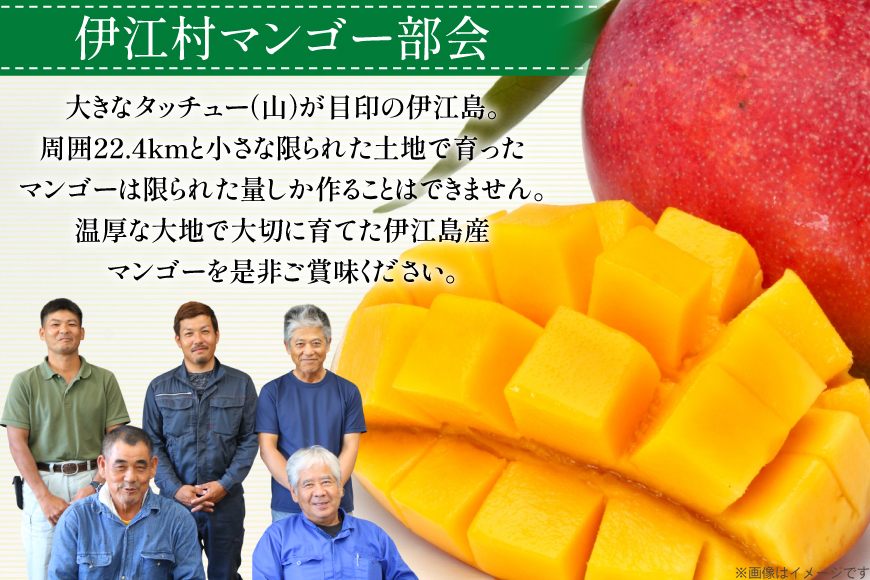 【期間限定発送】 完熟 マンゴー (アーウィン種) 約 2kg (4〜6玉) [伊江村マンゴー部会 沖縄県 伊江村 ie47bde320013] 沖縄 フルーツ 果物 甘い 夏 濃厚 Mango 果物 果実 くだもの