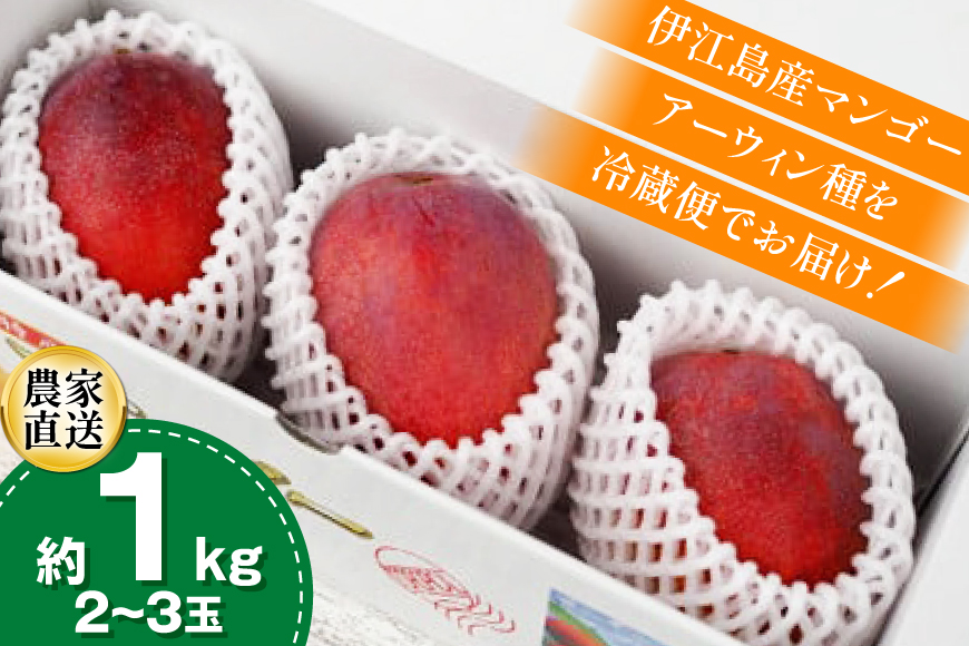 【期間限定発送】 完熟 マンゴー (アーウィン種) 約 1kg (2〜3玉) [伊江村マンゴー部会 沖縄県 伊江村 ie47bde320012] 沖縄 フルーツ 果物 甘い 夏 濃厚 Mango 果物 果実 くだもの