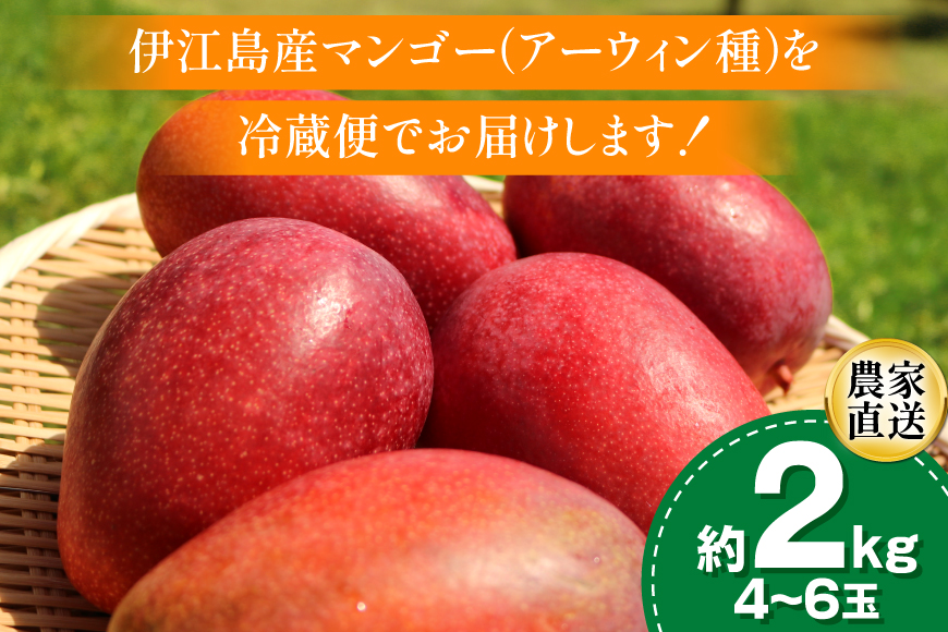 【期間限定発送】 完熟 マンゴー (アーウィン種) 約 2kg (4〜6玉) [伊江村マンゴー部会 沖縄県 伊江村 ie47bde320013] 沖縄 フルーツ 果物 甘い 夏 濃厚 Mango 果物 果実 くだもの