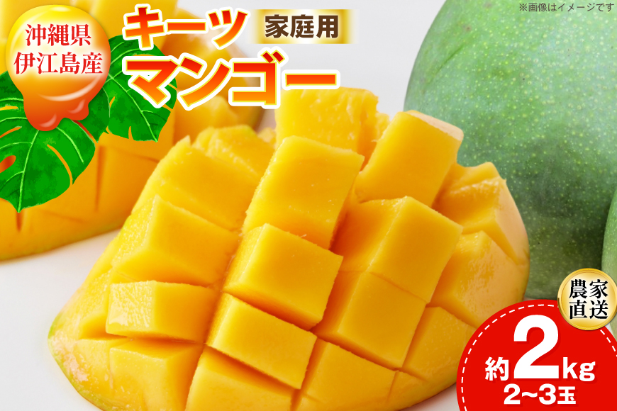 【期間限定発送】 家庭用 キーツ マンゴー 約 2kg (2〜3玉) [伊江村マンゴー部会 沖縄県 伊江村 ie47bde320000] キーツマンゴー 沖縄 フルーツ 果物 甘い 夏 濃厚 Mango 果物 果実 くだもの