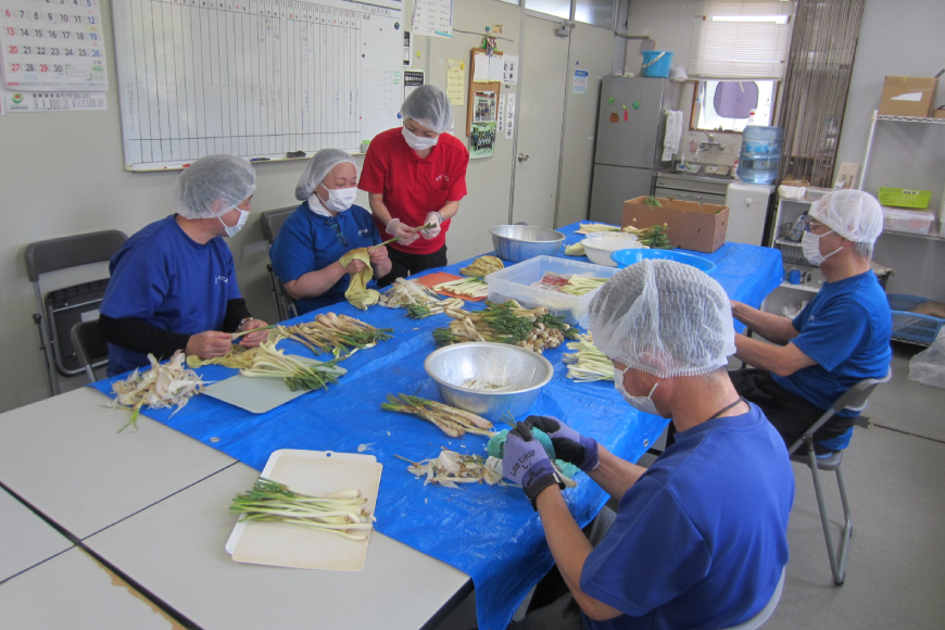 【期間限定発送】島らっきょう 生 皮むき 250g 4袋 計 1kg [ミュージアム 沖縄県 伊江村 ie47bde230011] 沖縄 おつまみ らっきょう 国産