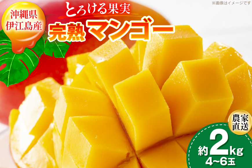 【期間限定発送】 完熟 マンゴー (アーウィン種) 約 2kg (4〜6玉) [伊江村マンゴー部会 沖縄県 伊江村 ie47bde320013] 沖縄 フルーツ 果物 甘い 夏 濃厚 Mango 果物 果実 くだもの