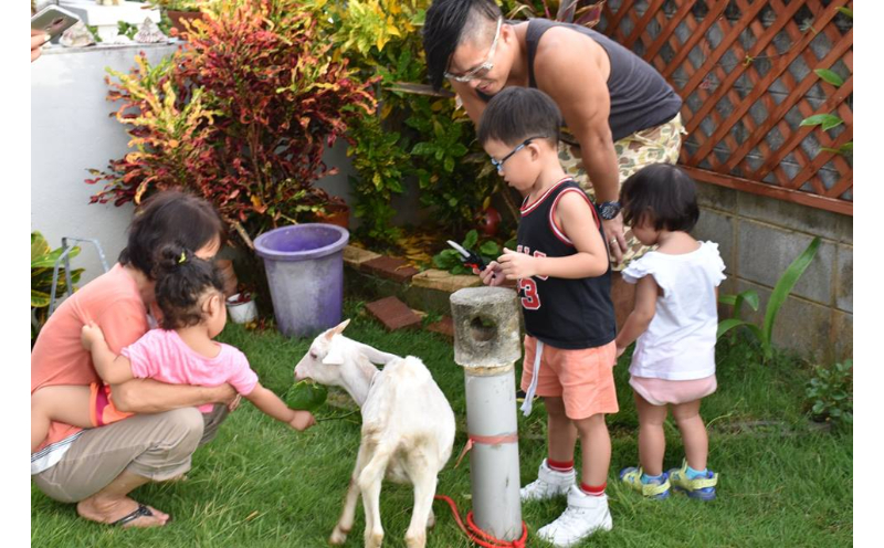 【読谷村の民家で民泊！よみたん民泊】　2泊4食付プラン＜2名様＞