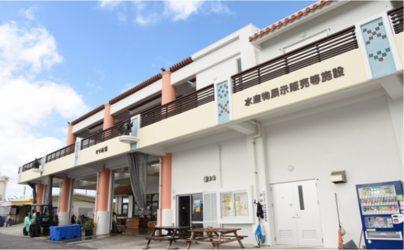 都屋漁港出発【定置網体験】大人チケット（2名様分） 〇 夏休み 学生料金別設定 沖縄 読谷村 おさかな 魚 カメ ジンベエザメ オマケ付き