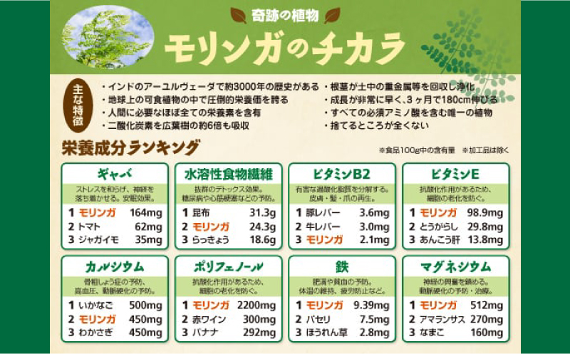 奇跡の植物＜モリンガ＞タブレット・パウダー・ティーバッグ（３点セット） ☆ 読谷村産 沖縄 セット お試し お茶 粉末 飲みやすい