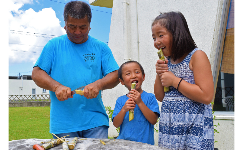 【読谷村の民家で民泊！よみたん民泊】　2泊4食付プラン＜2名様＞