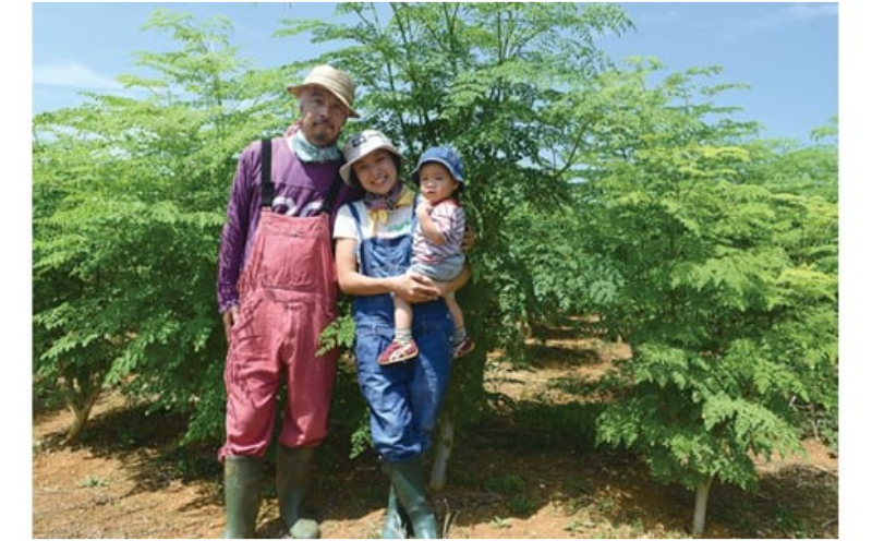 奇跡の植物＜モリンガ＞ティーバッグ（2個セット） ☆ お茶 読谷村産 沖縄 お手軽 持ち運び 便利