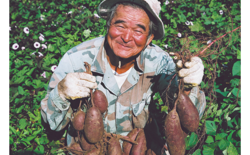 【御菓子御殿】県産紅いもにこだわった元祖紅いもタルト＜10個入x5箱＞セット 〇 沖縄 沖縄土産 お土産の定番 人気商品 社内配布 読谷村 セット商品 お家使い 大容量 読谷本店 名護店 恩納店 国際通り店