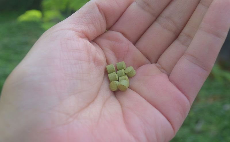 å¥è·¡ã®æ€ç©ïŒã¢ãªã³ã¬ïŒã¿ãã¬ããïŒ5åã»ããïŒ â ãæè»œ æã¡æ©ãã« èªè°·æç£ 飲ã¿ããã æ²çž