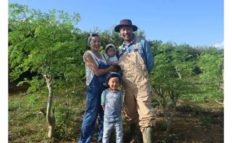 å¥è·¡ã®æ€ç©ïŒã¢ãªã³ã¬ïŒã¿ãã¬ããïŒ5åã»ããïŒ â ãæè»œ æã¡æ©ãã« èªè°·æç£ 飲ã¿ããã æ²çž