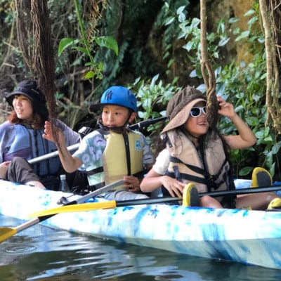 【1名様体験コース】比謝川のマングローブに生息する動植物をカヤックで探検!【1399160】
