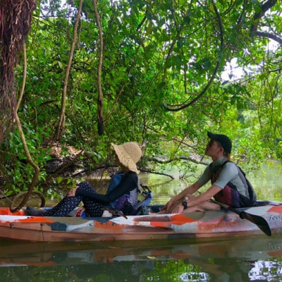 【3名様体験コース】比謝川のマングローブに生息する動植物をカヤックで探検!【1399162】