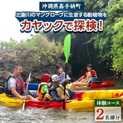【2名様体験コース】比謝川のマングローブに生息する動植物をカヤックで探検!【1399161】