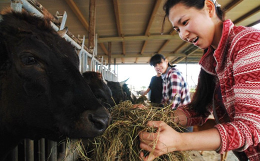 【ふるさと納税】沖縄県産和牛【KINJO BEEF】手ごねハンバーグステーキ（200g×5P）