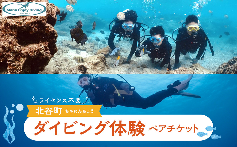 【ふるさと納税】ライセンス不要のダイビング体験ペアチケット@北谷町