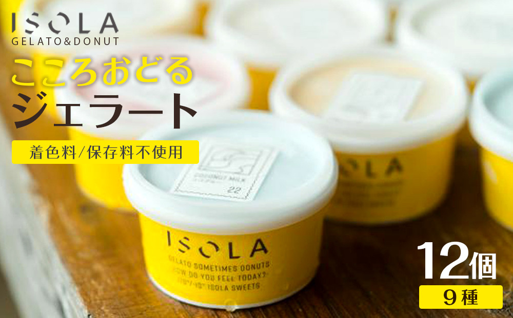 沖縄　こころおどる　ジェラート12個セット