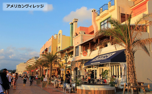 ããµãããšçŽçšããã¬ã¯ãŒæ²çžåè°·ã¹ãïŒãªãŸãŒããã宿æ³åžãã¹ãŒããªã¢ã«ãŒã ïŒã¡ã€ã³æ£ïŒïŒïœ4åæ§1æ³æé£ä»