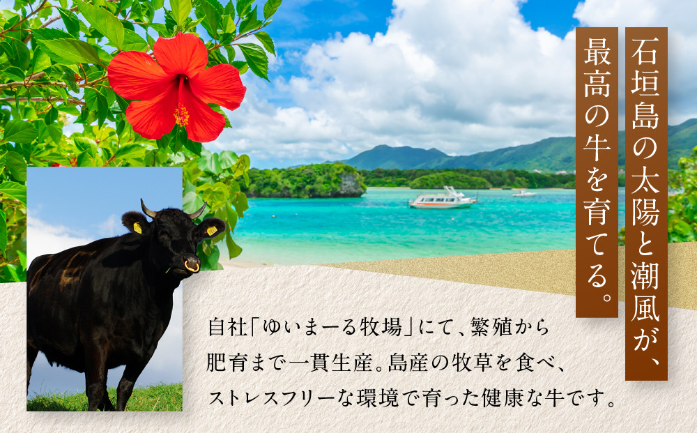 ããµãããšçŽçšãç³å£çãã³ããŒã°ãKINJO BEEFãæãããã³ããŒã°ã¹ããŒãïŒ200gÃ3PïŒ | ãã³ããŒã° ã¯ãã°ãŒã ç³å£ç çè ç æ²çž åè°· ç³å£å³¶ ã¡ããã ããã æ£è å·å