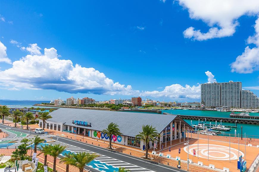 【ふるさと納税】【ココシャスモンパ】デラックスルーム１泊素泊まりペア宿泊券