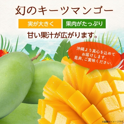 【2026年8月から順次発送・贈答用】JAおきなわ厳選 幻のキーツマンゴー2kg(2〜3玉)【配送不可地域：離島】【1724305】