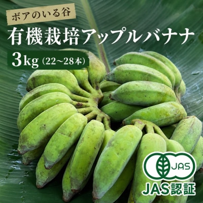 【2026年5月下旬より順次発送・JAS認証】有機栽培アップルバナナ3kg(22〜28本)【1534083】