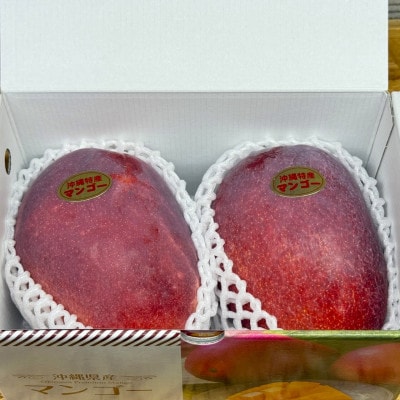 【2026年6月から順次発送・化粧箱】JAおきなわ厳選 秀品アップルマンゴー1kg(2〜3玉)【配送不可地域：離島】【1724299】