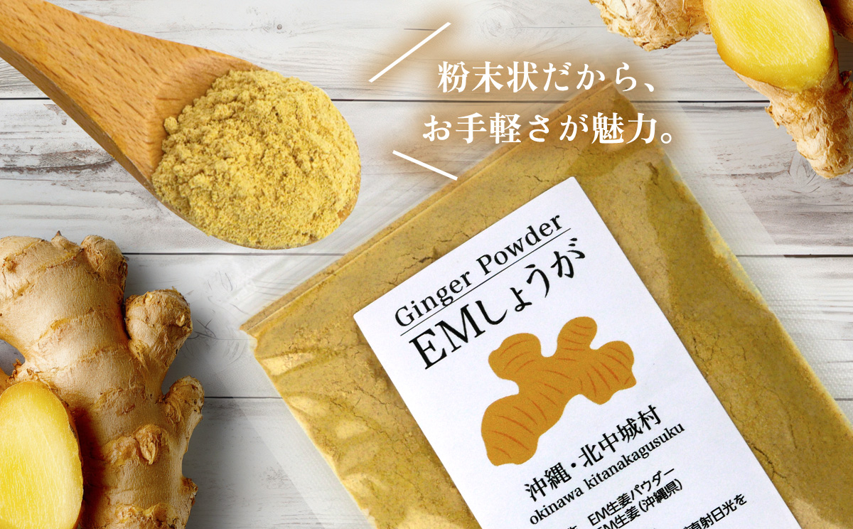 【きたなか荘】しょうがパウダー 40g×4袋 しょうが パウダー ジンジャー しょうが湯 生姜 粉末 調味料 弁当 家庭料理 温かい飲み物 簡単 料理 手軽 お取り寄せ 調味料 安心 安全 おきなわ 沖縄 北中城村