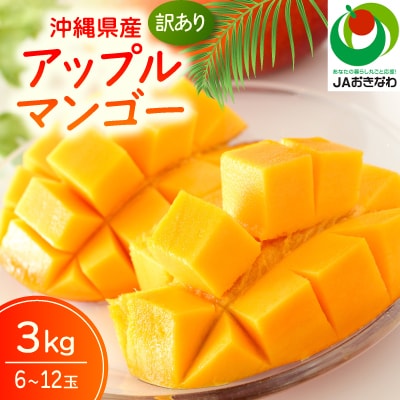 【2026年6月から順次発送・訳あり】JAおきなわ厳選 アップルマンゴー3.0kg(6〜12玉)【配送不可地域：離島】【1724297】