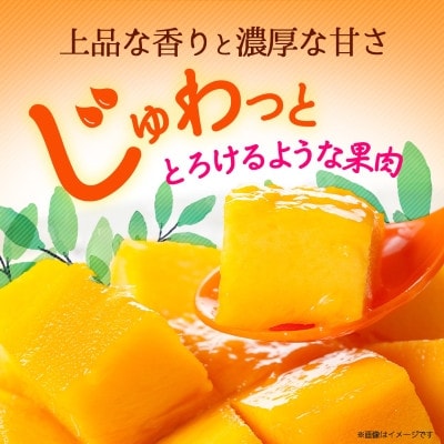 【2026年6月から順次発送・訳あり】JAおきなわ厳選 アップルマンゴー2.0kg(4〜6玉)【配送不可地域：離島】【1724296】