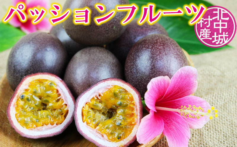 【2026年発送】生産者直送！井上さんのパッションフルーツ1kg お取り寄せ フルーツ 南国 国産 デザート 家庭用 産地直送 農家直送 果物 くだもの ご当地 期間限定 数量限定 リリコイ 先行予約 先行受付 おきなわ 沖縄県産 沖縄 北中城村