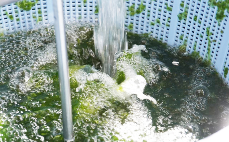 ããããšã¢ãŒãµããããã6åå
¥ãÃ2ç®±ã»ãããã¢ãŒãµã®å®éã ããŒã ããã éç æåªç§è³ åè³ ç°¡å å
è¡äºçŽ å€é£ ä¿åé£ éåžžé£ ãŸãšãè²·ã ã»ãã æµ·è» ãã«ã·ãŒ ç°¡å æè»œ ãµãããšçŽçš éæç¡æ åäžåæ æ²çžç