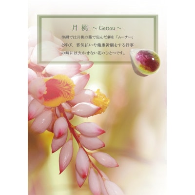 長七屋の月桃ピアス　14KGF(BOX付)【GeーGFーPi09ー4】証明書付【1711489】