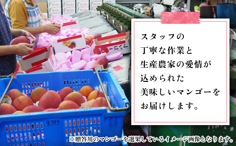 ã2026幎çºéãèš³ããåïŒæ²çžçç£ãå®çãã³ãŽãŒãçŽ1.5kgÃ2ç®± æ²çžçç£ å
è¡äºçŽ èš³ãã èš³ã¢ãª ãã«ãŒã æç© ãã ãã® ã¢ããã«ãã³ãŽãŒ ã¢ãŒãŠã£ã³çš® å·èµ JA å®¶åºçš ã詊ã çŸå³ãã æ²çž çç£è
å¿æŽ ããŒããã¹ äººæ° ãããã ãåãå¯ã