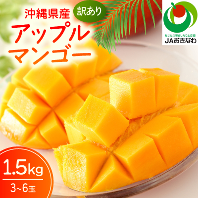 【2026年6月から順次発送・訳あり】JAおきなわ厳選 アップルマンゴー1.5kg(3〜6玉)【配送不可地域：離島】【1724295】