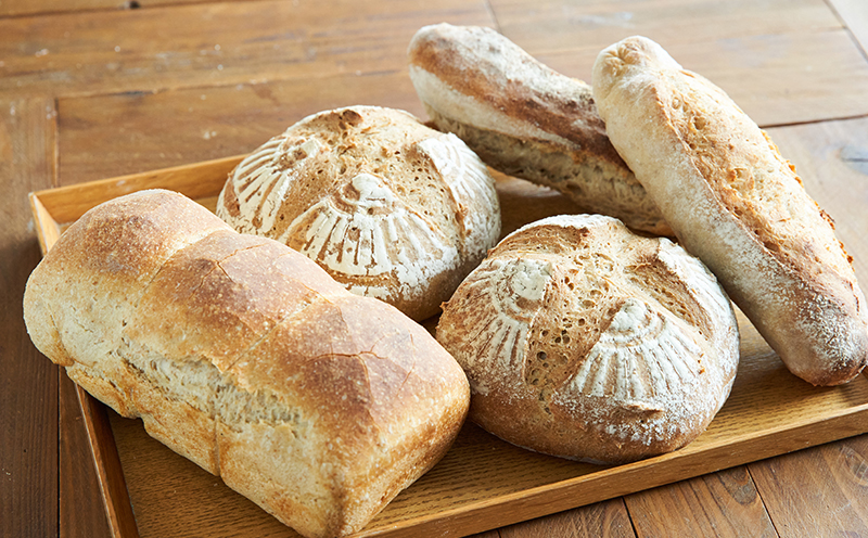 ＜ときはや石窯薪火パン＞無糖、無塩パンセット定期便（6回分）