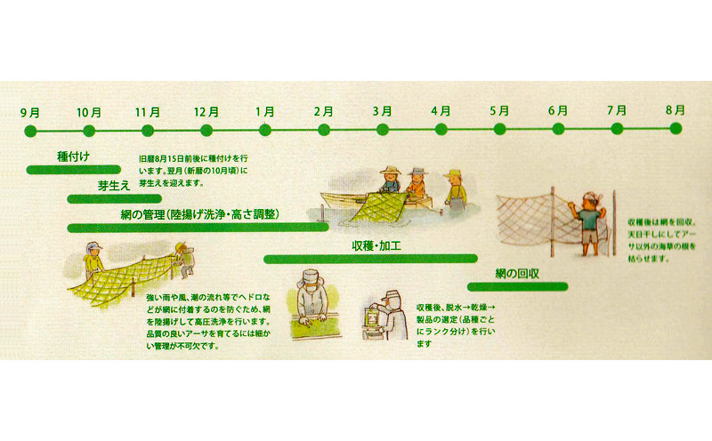 琉球アーサスープ お茶漬けセット 梅味 沖縄県 北中城村産 4g 6袋 4.5g 4袋 各2セット 計20食 あおさのり あーさ ひとえぐさ スープ 海藻 栄養 健康 ビタミン ミネラル 食物繊維 緑黄色野菜 お吸い物 沖縄そば 天ぷら だし巻き卵 長寿 抗酸化作用 佐敷中城漁業協同組合