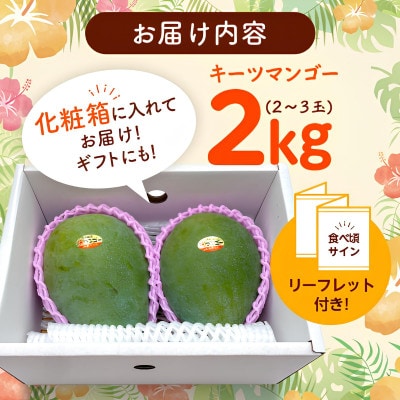 【2026年8月から順次発送・贈答用】JAおきなわ厳選 幻のキーツマンゴー2kg(2〜3玉)【配送不可地域：離島】【1724305】